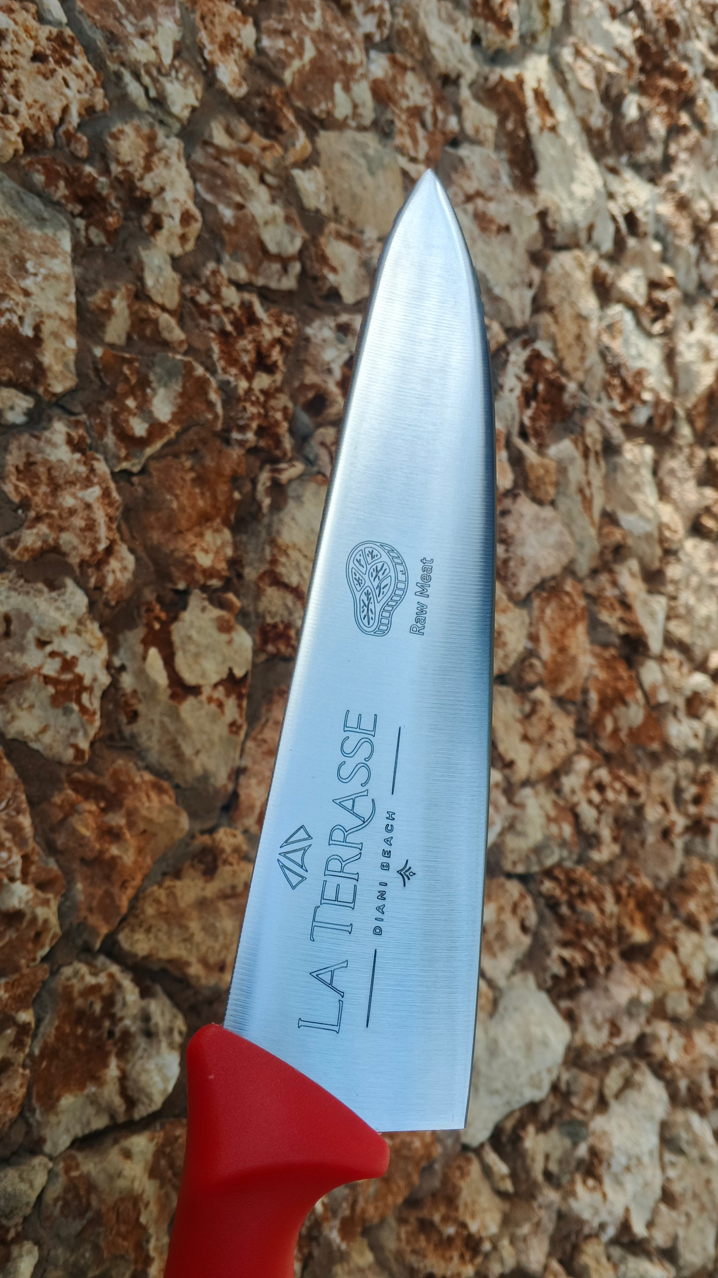 Commercial 10" Chef Knife — Red Handle